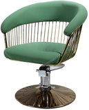 DIOE Silla de Peluquero hidráulica clásica, Silla de salón de SPA, Equipo de Belleza para Peinado, 3 Colores Disponibles (Negro, Verde, Rosa)