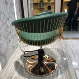 DIOE Silla de Peluquero hidráulica clásica, Silla de salón de SPA, Equipo de Belleza para Peinado, 3 Colores Disponibles (Negro, Verde, Rosa)